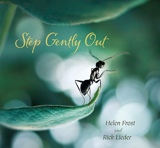 Step Gently Out cover
